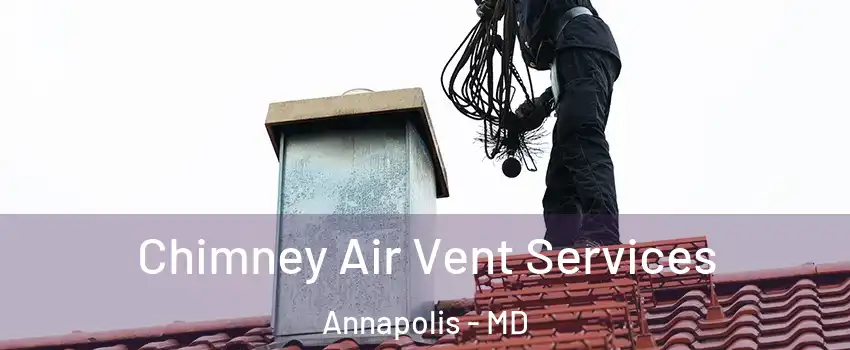  Chimney Air Vent Services Annapolis - MD