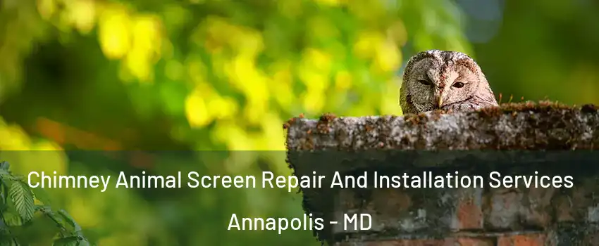  Chimney Animal Screen Repair And Installation Services Annapolis - MD