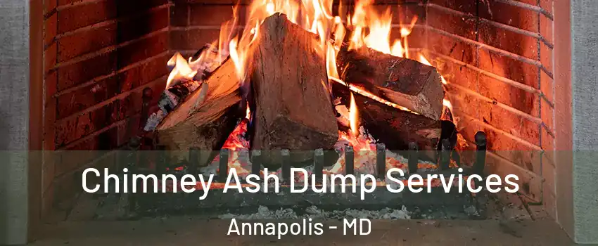 Chimney Ash Dump Services Annapolis - MD