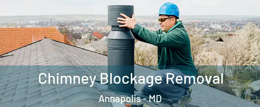  Chimney Blockage Removal Annapolis - MD