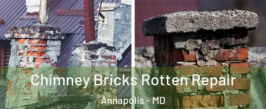  Chimney Bricks Rotten Repair Annapolis - MD