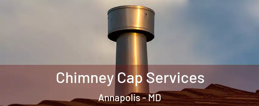  Chimney Cap Services Annapolis - MD