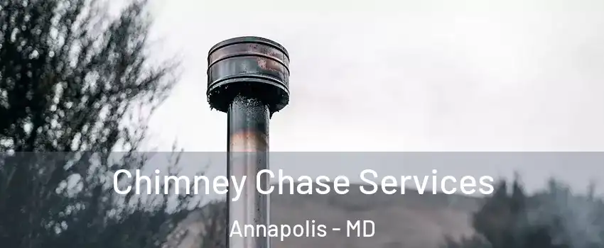  Chimney Chase Services Annapolis - MD