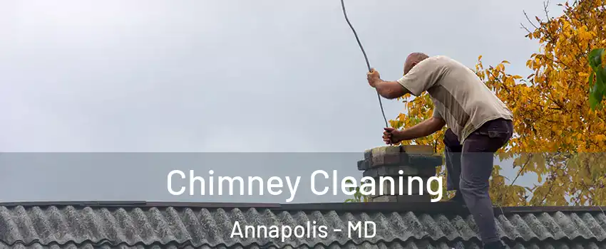  Chimney Cleaning Annapolis - MD