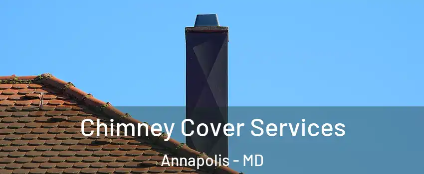  Chimney Cover Services Annapolis - MD