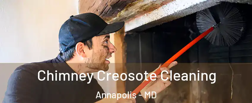  Chimney Creosote Cleaning Annapolis - MD