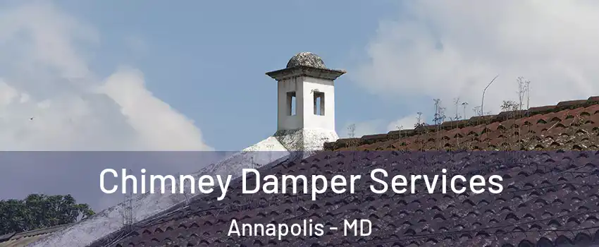  Chimney Damper Services Annapolis - MD