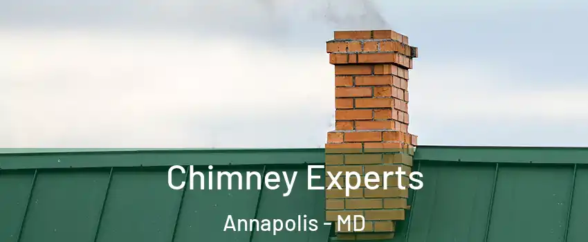 Chimney Experts Annapolis - MD