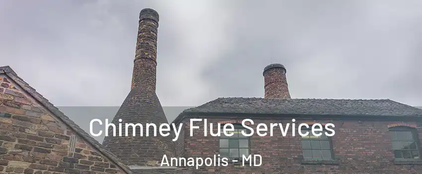  Chimney Flue Services Annapolis - MD