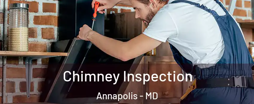  Chimney Inspection Annapolis - MD
