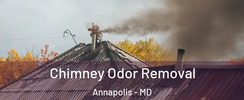  Chimney Odor Removal Annapolis - MD