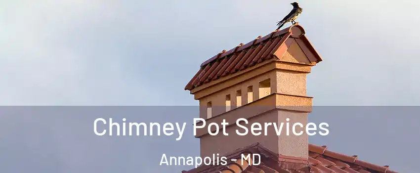  Chimney Pot Services Annapolis - MD