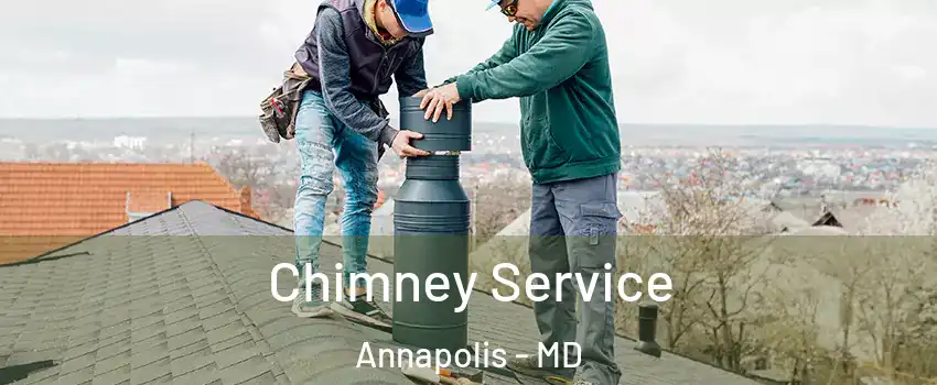  Chimney Service Annapolis - MD