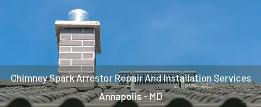  Chimney Spark Arrestor Repair And Installation Services Annapolis - MD