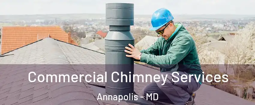  Commercial Chimney Services Annapolis - MD