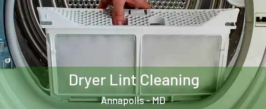  Dryer Lint Cleaning Annapolis - MD