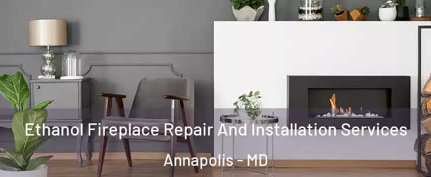  Ethanol Fireplace Repair And Installation Services Annapolis - MD