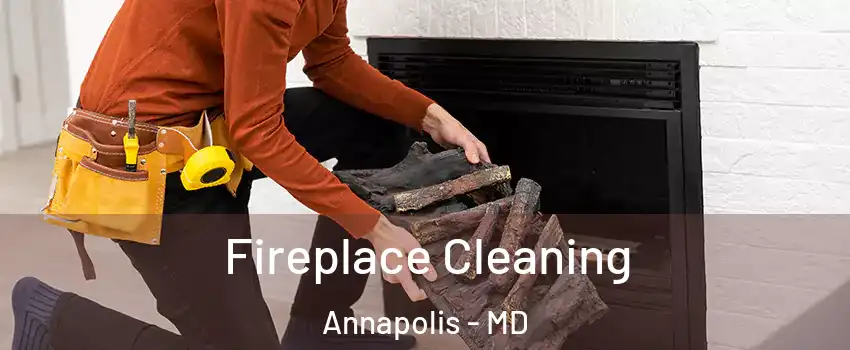  Fireplace Cleaning Annapolis - MD
