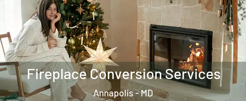  Fireplace Conversion Services Annapolis - MD
