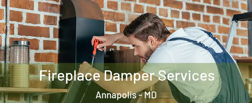  Fireplace Damper Services Annapolis - MD