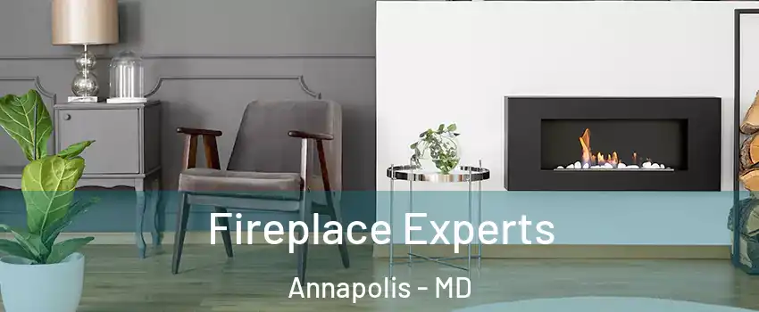  Fireplace Experts Annapolis - MD
