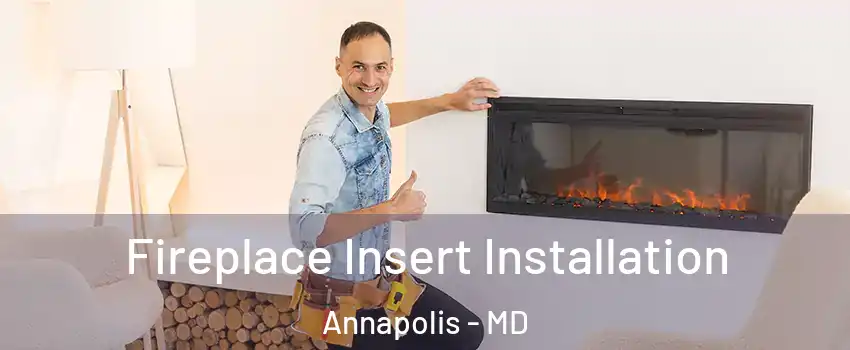  Fireplace Insert Installation Annapolis - MD