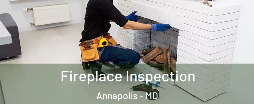  Fireplace Inspection Annapolis - MD