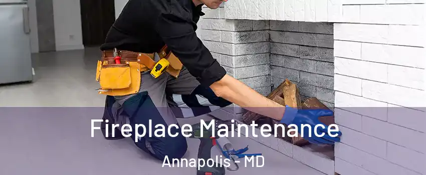  Fireplace Maintenance Annapolis - MD