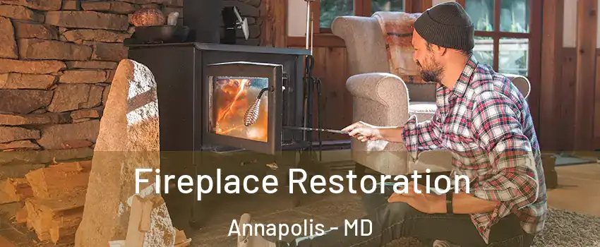  Fireplace Restoration Annapolis - MD