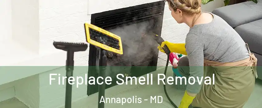  Fireplace Smell Removal Annapolis - MD
