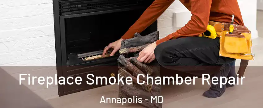  Fireplace Smoke Chamber Repair Annapolis - MD