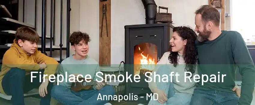  Fireplace Smoke Shaft Repair Annapolis - MD