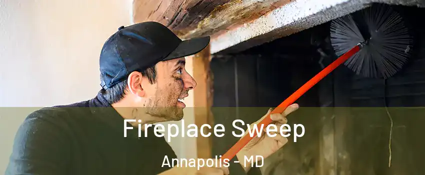 Fireplace Sweep Annapolis - MD