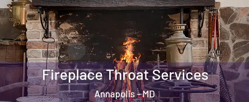  Fireplace Throat Services Annapolis - MD