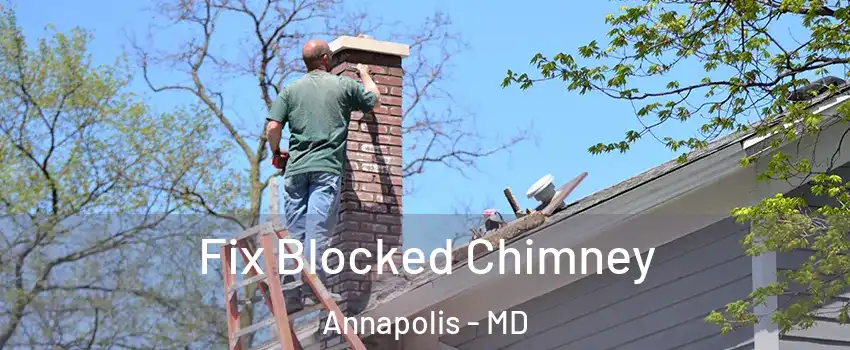  Fix Blocked Chimney Annapolis - MD