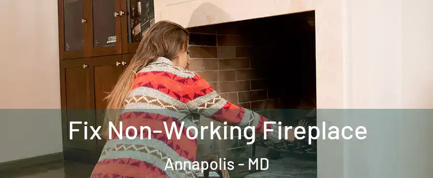  Fix Non-Working Fireplace Annapolis - MD