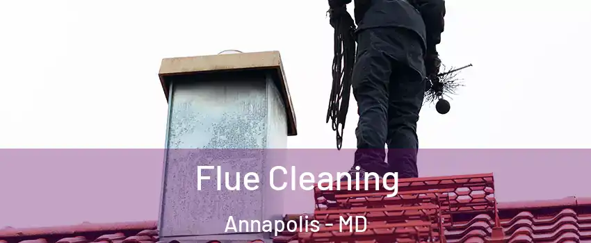  Flue Cleaning Annapolis - MD