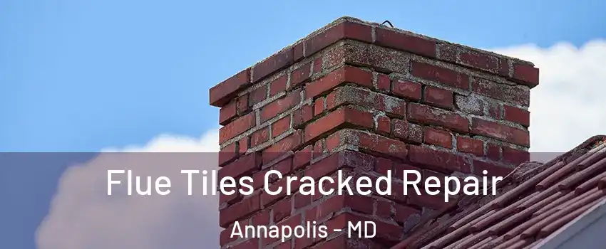  Flue Tiles Cracked Repair Annapolis - MD