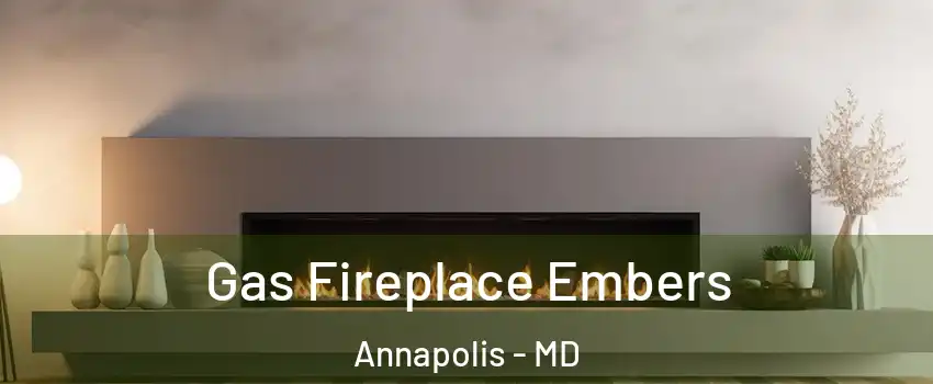  Gas Fireplace Embers Annapolis - MD