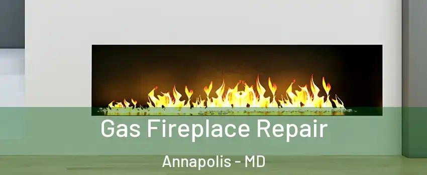  Gas Fireplace Repair Annapolis - MD
