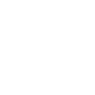 Professional Chimney Flue Installation in Annapolis, Maryland