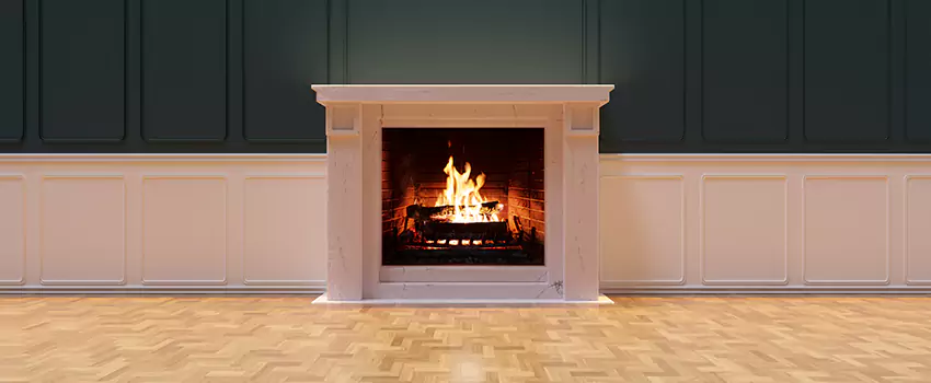 Napoleon Electric Fireplaces Inspection Service in Annapolis, Maryland
