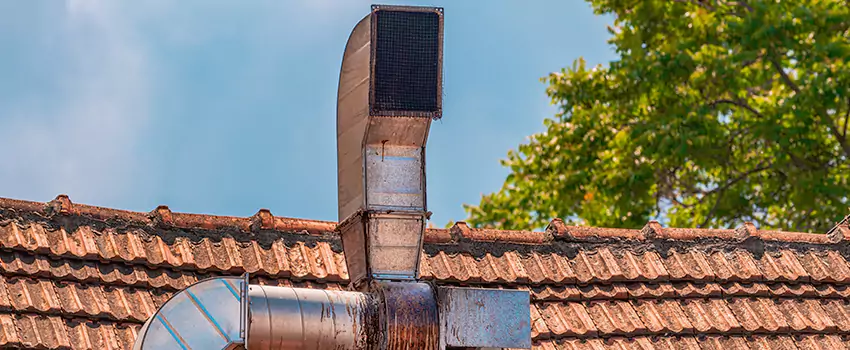 Chimney Blockage Removal in Annapolis, Maryland