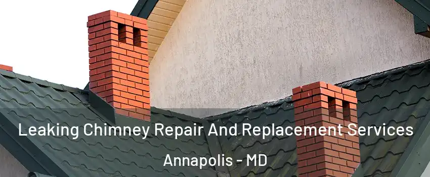  Leaking Chimney Repair And Replacement Services Annapolis - MD