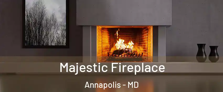  Majestic Fireplace Annapolis - MD