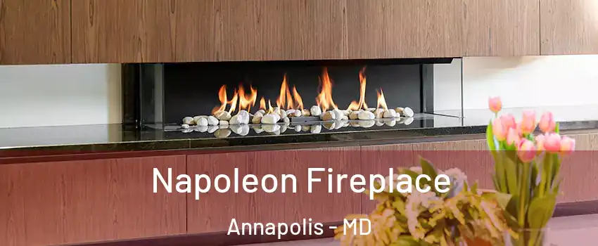  Napoleon Fireplace Annapolis - MD