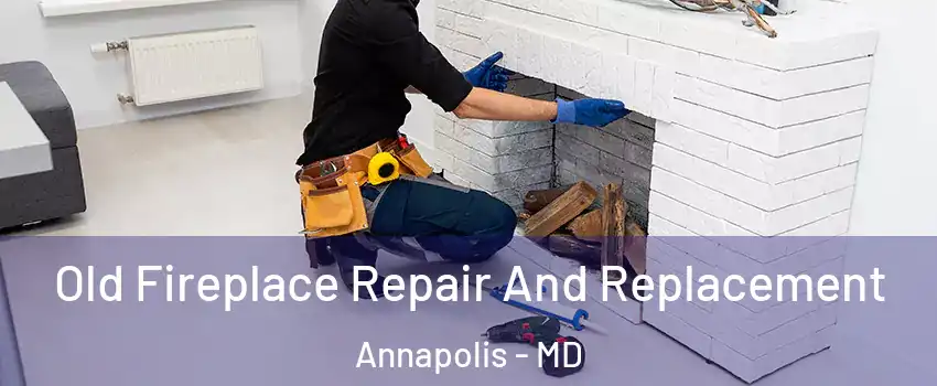  Old Fireplace Repair And Replacement Annapolis - MD