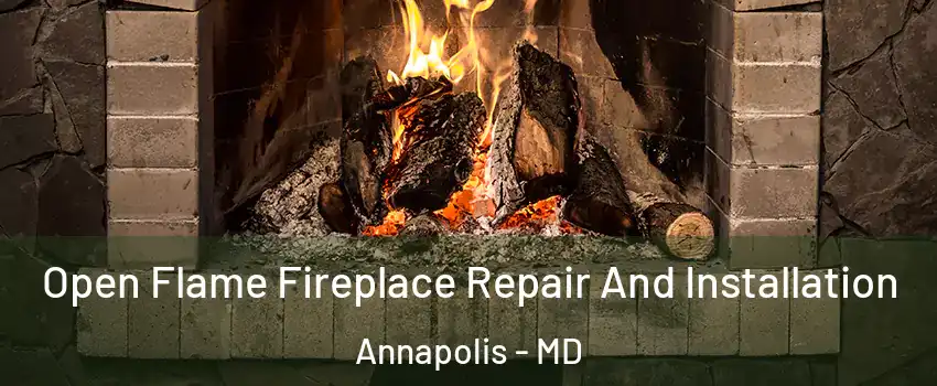  Open Flame Fireplace Repair And Installation Annapolis - MD