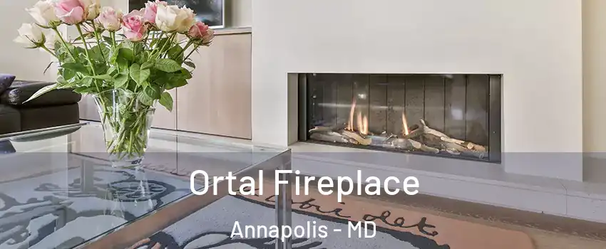 Ortal Fireplace Annapolis - MD