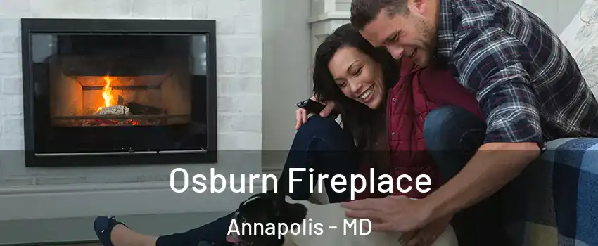  Osburn Fireplace Annapolis - MD